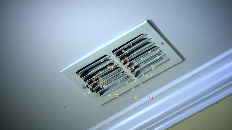 Best Local Air Duct Cleaning Services  in Willow Springs, MO